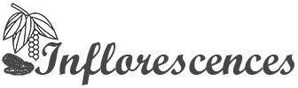 Infloresence Trading